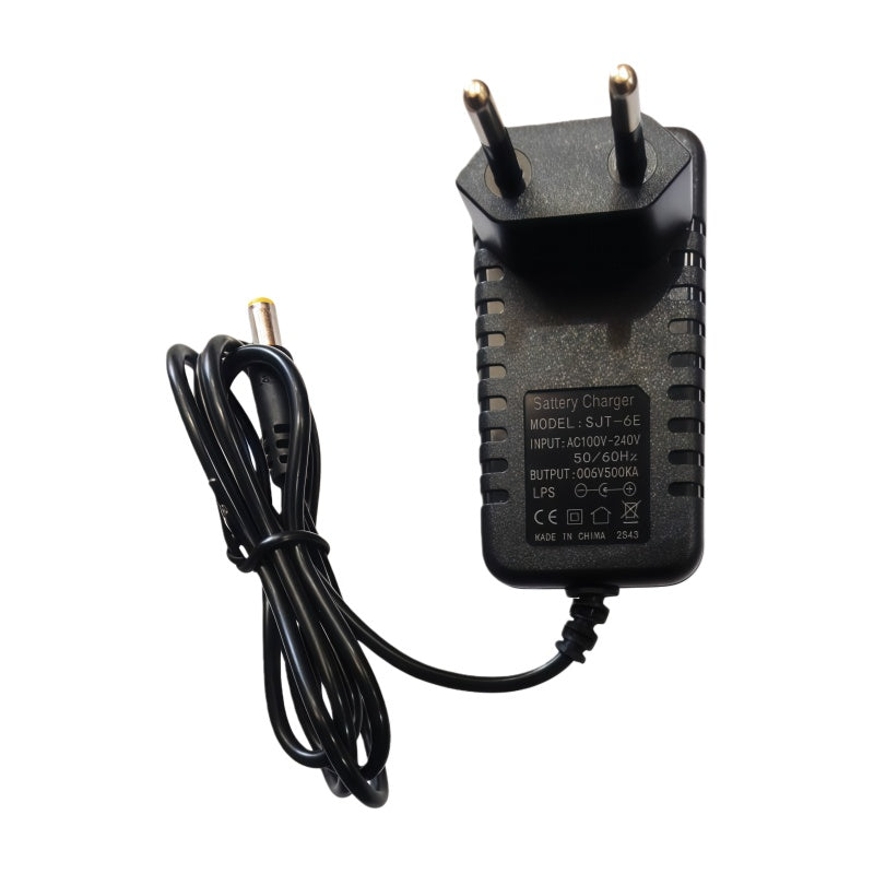 Cargador de batería de plomo 6V 0.5A DC2.1