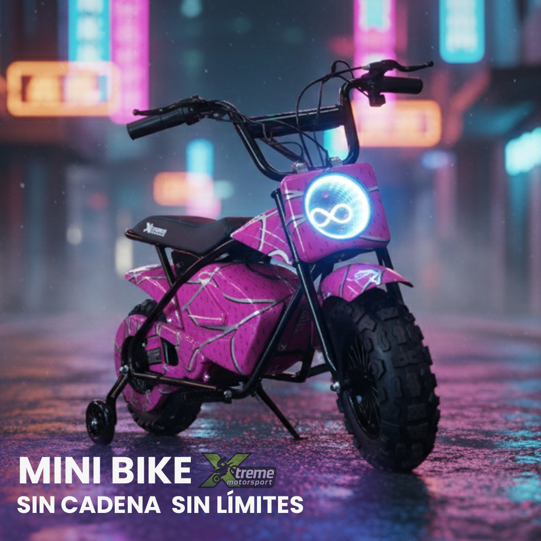 Mini Bike 250 DH – Motor de rueda 350W (24V), 3 velocidades y hasta 20 km/h